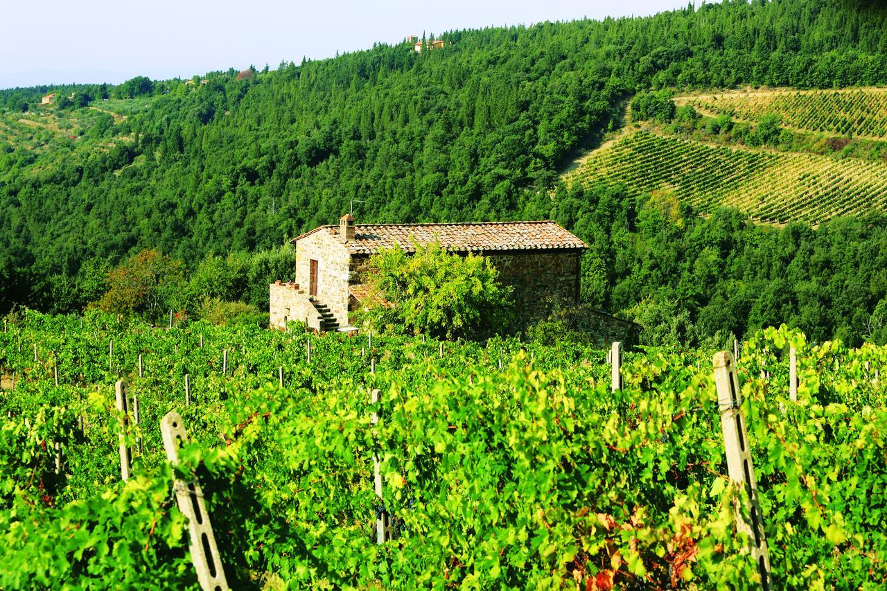 Agriturismo Piemaggino Castellina in Chianti Exterior foto